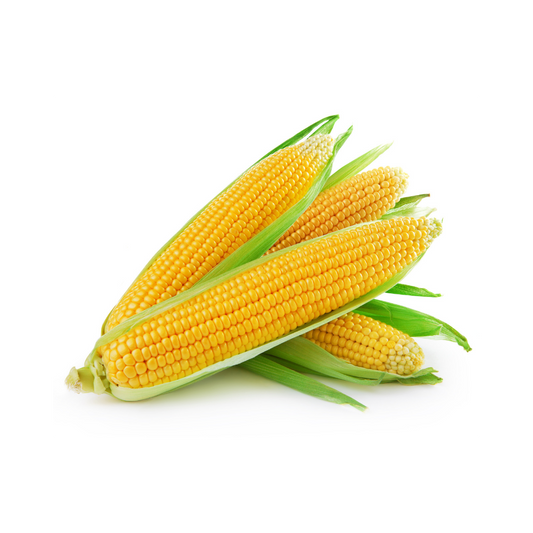 American Bhutta