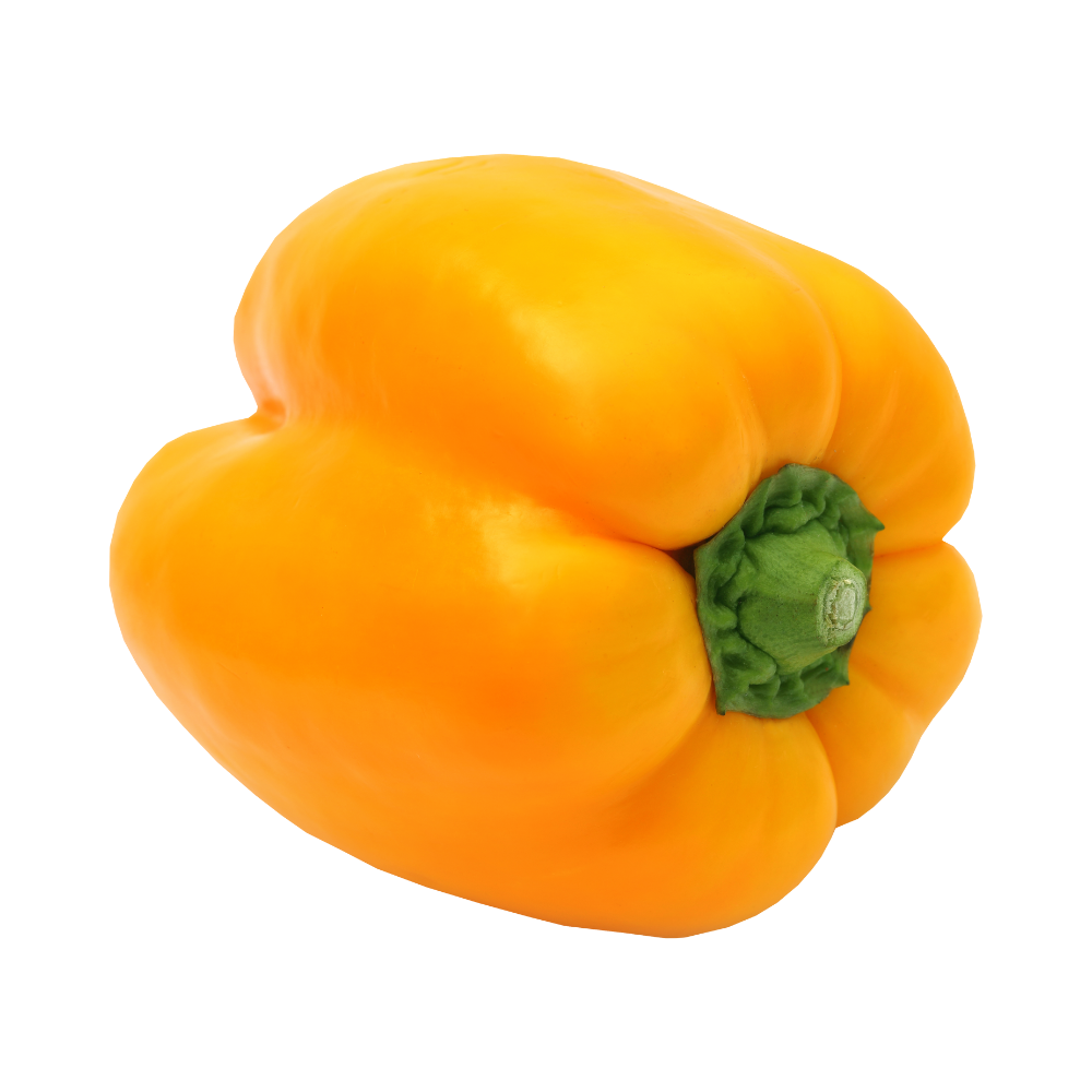 Capsicum Yellow