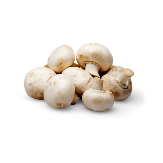 Button Mushroom